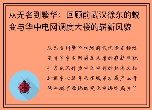 从无名到繁华：回顾前武汉徐东的蜕变与华中电网调度大楼的崭新风貌